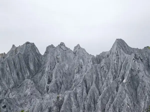 风景